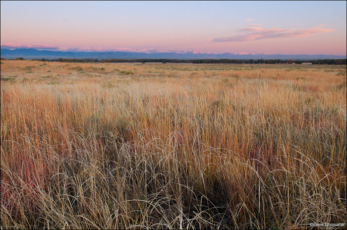 &nbsp;Colorful native grasses, predominantly big bluestem, seemingly stretch to the Front Range mountains one autumn morning.