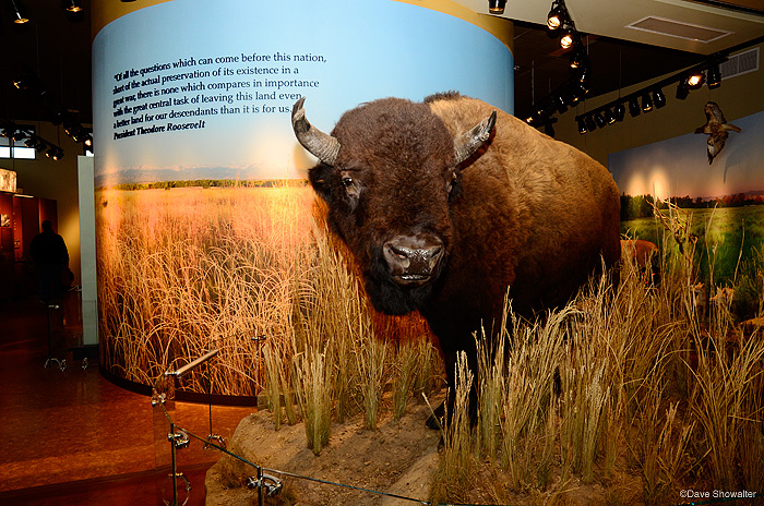 &nbsp;Rocky Mountain Arsenal NWR will open their new LEED Gold visitor center on May 21, 2011. I contributed many images to the...