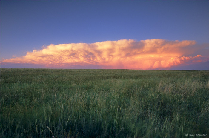 &nbsp;An anvil cloud gathers sunset color as it drifts over Rocky Mountain Arsenal on its way to the eastern plains. These massive...