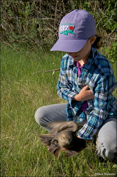 &nbsp;Sage Holloran releases a cowbird at the Audubon Rockies bioblitz on June 23, 2012.&nbsp;Soda Lake Wildlife Management Area...