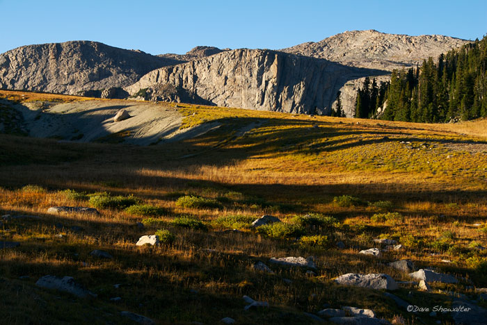 Early evening light and tree shadows stream across an alpine meadow below an unnamed mountain. &nbsp;