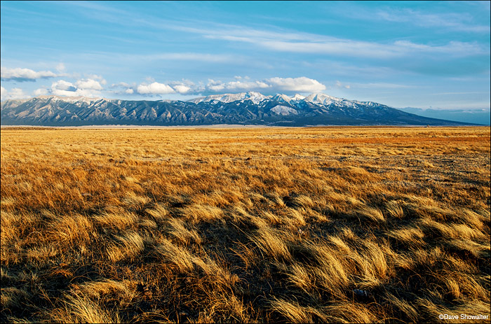 Warm evening light turns the high desert San Luis grassland gold before the high fourteeners - Blanca Peak, Little Bear Peak...