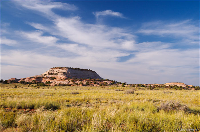 Aztec Butte rises above grassland on Island In The Sky. It's a remarkable juxtaposition to find a wide open grassland "island...