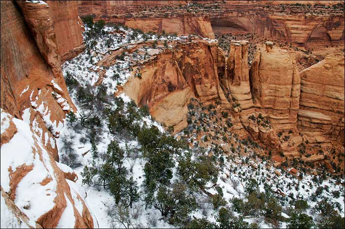 The "coke ovens", rock formations carved by cycles of freeze and thaw with a dusting of snow.