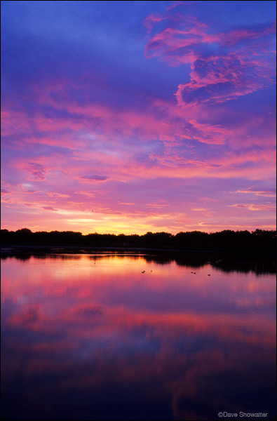 &nbsp;Brilliant hues of pink, magenta, and blue light the sky over Derby Lake one summer morning.&nbsp;