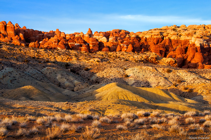 A variety of textures and colors in late afternoon light at the Fiery Furnace area.