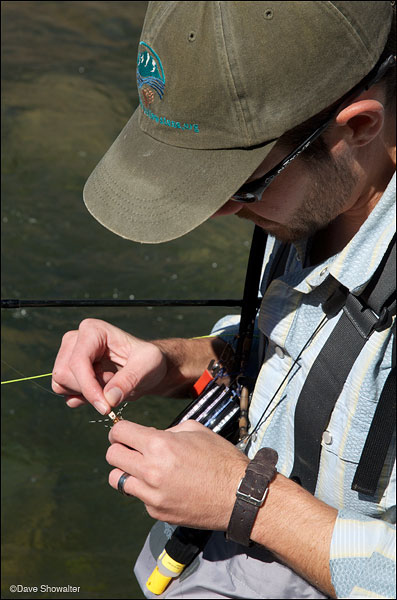 &nbsp;Scott Cristensen of Greater Yellowstone Coalition ties on a fresh fly while fishing for imperiled Yellowstone cutthroat...
