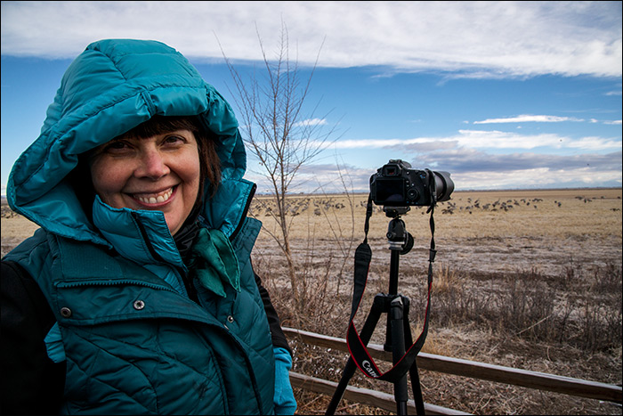 Sandhill Crane Photo Workshop with TNC Zapata Ranch