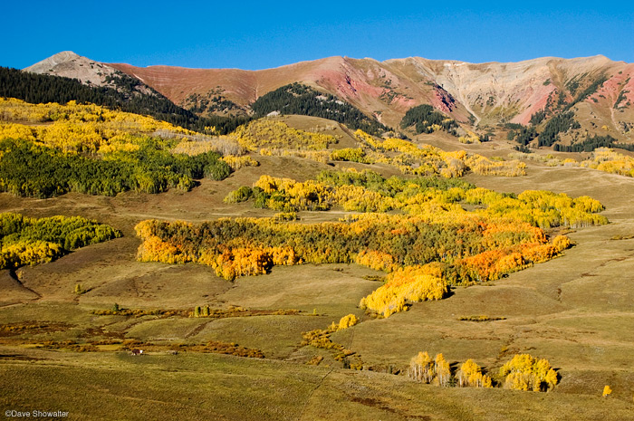 Peak autumn color in the elk range along the road from Crested Butte to Gothic.&nbsp;