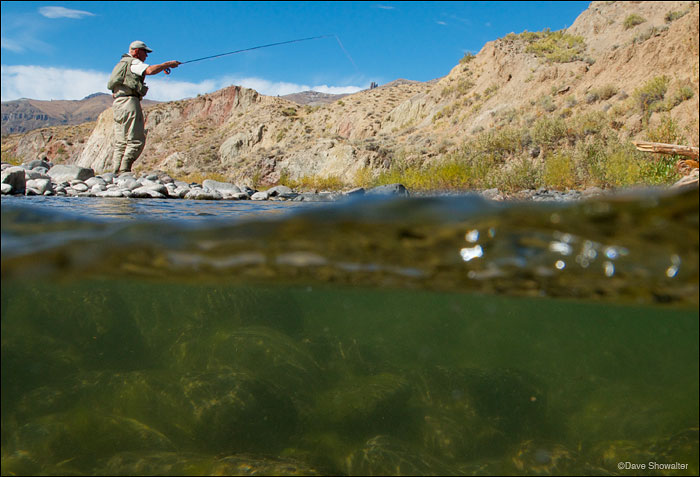 &nbsp;Dave Sweet of Trout Unlimited casts for Yellowstone cutthroat trout on the Greybull River.