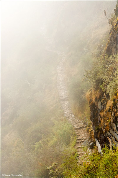 The Inca Trail slices through fog near Sayacmarca ruin on day two of our trek to Machu Picchu.