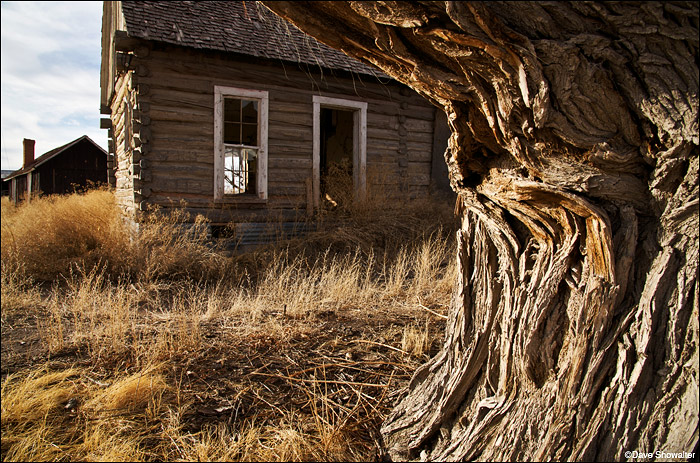 &nbsp;The 1850's homestead at Zapata Ranch&nbsp;has a tons of character and endless photo possibilities - there's this one spot...