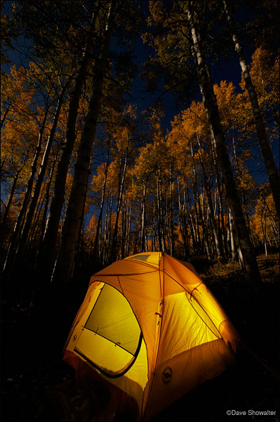 &nbsp;A full October moon lights the aspen forest above our tent on Kebler Pass.