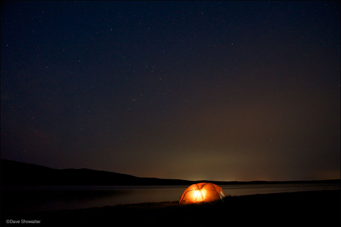 &nbsp;An illuminated tent along the Soda Lake shoreline at the Audubon Rockies bioblitz on June 23, 2012.&nbsp;Soda Lake Wildlife...