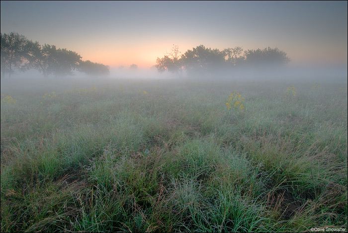 &nbsp;Lush late summer prairie grasses are the cool foreground for this foggy summer scene near Lake Ladora.&nbsp;