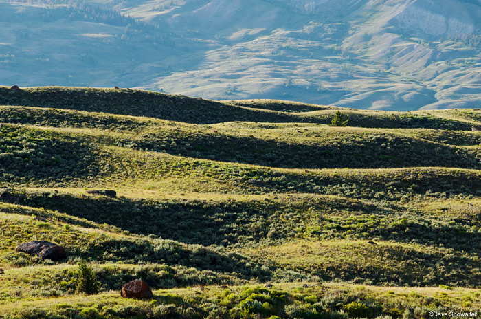 &nbsp;Late afternoon light highlight sagebrush hills and contours in thge landscape of the Gros Ventre River Valley.