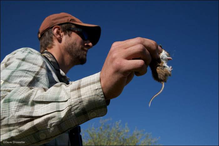 &nbsp;Ian Abernethy of WYNDD displays a deer mouse while giving a field talk about small mammal density on the site. Audubon...
