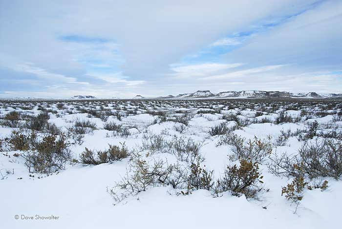 A winter blanket of white covers salt brush and distant bluffs on Colorado's Eastern Plains.&nbsp;