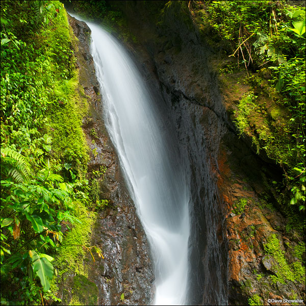 &nbsp;A beautiful waterfall rushes through the rainforest near la Fortuna.&nbsp; * This image is square. Please order prints...