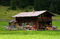 Tyrol House print