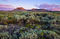 Oregon Buttes Sunrise print