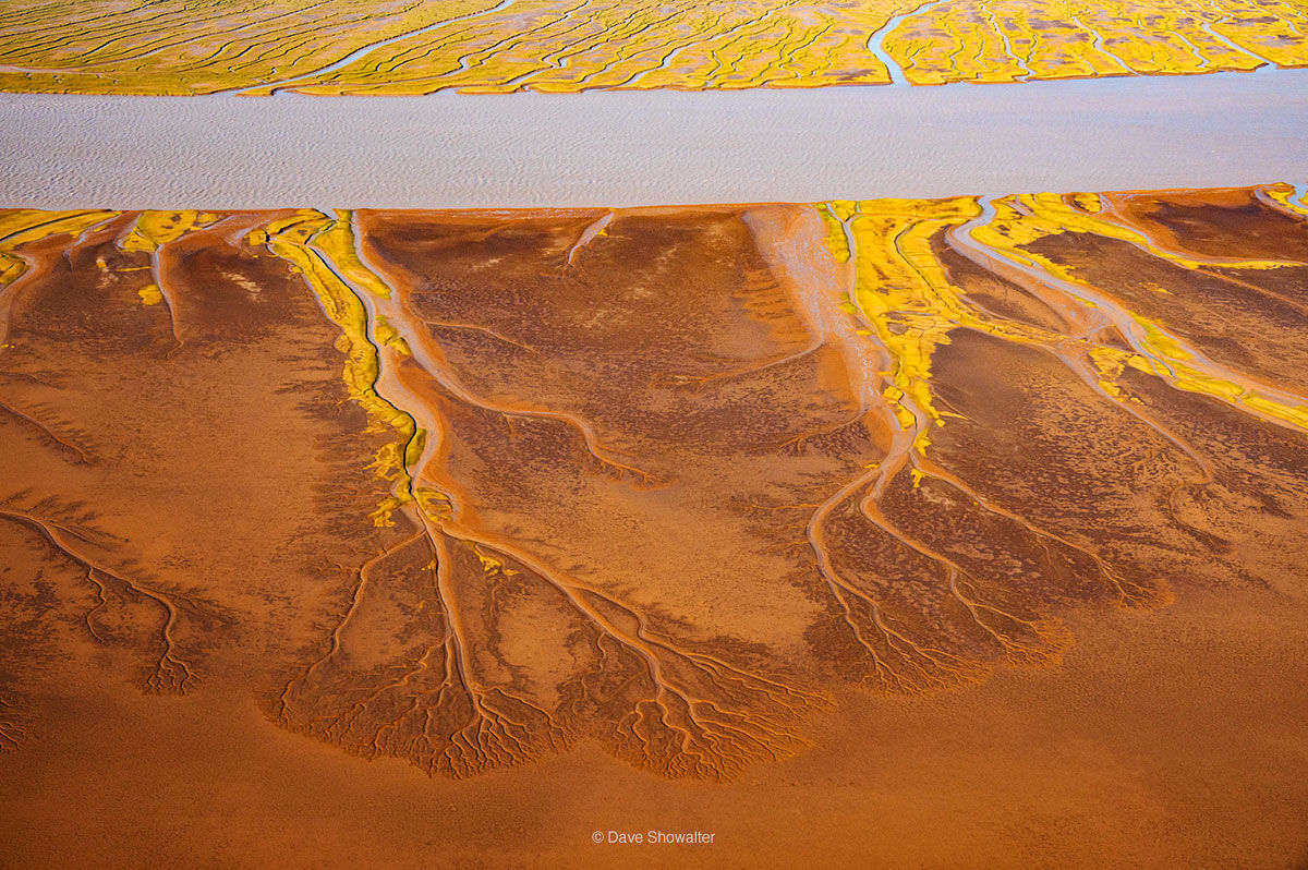 colorado river, sea of cortez