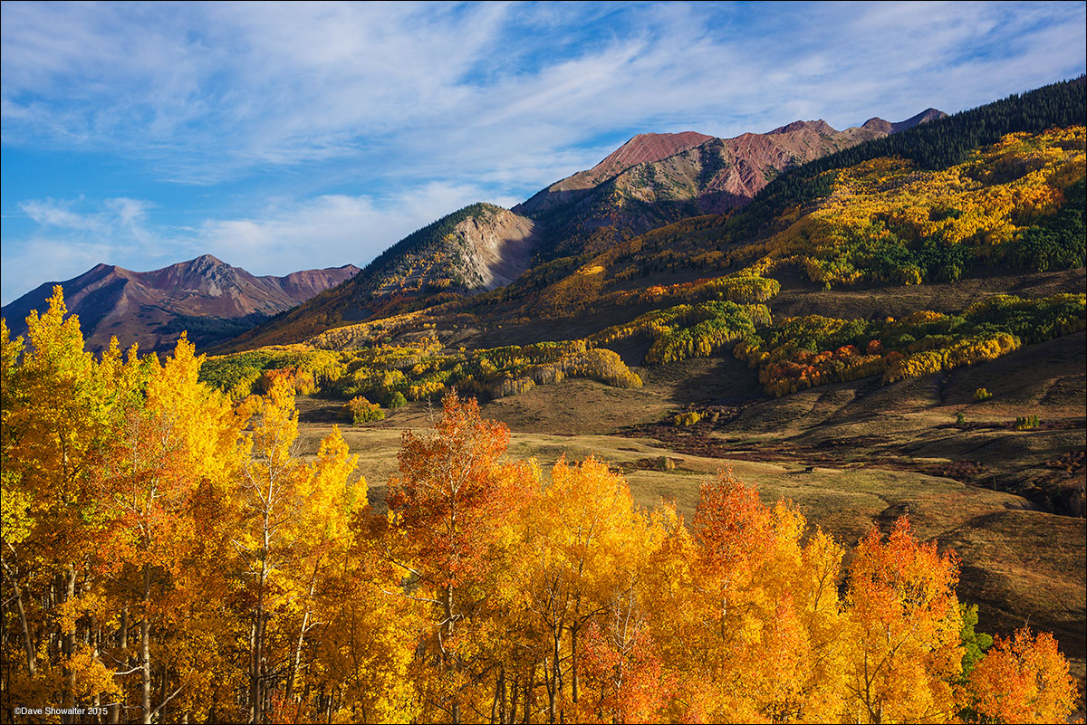 A glade and gold and orange aspen trees at peak autumn brilliance leads to layers of more colorful aspen near the town of Gothic...