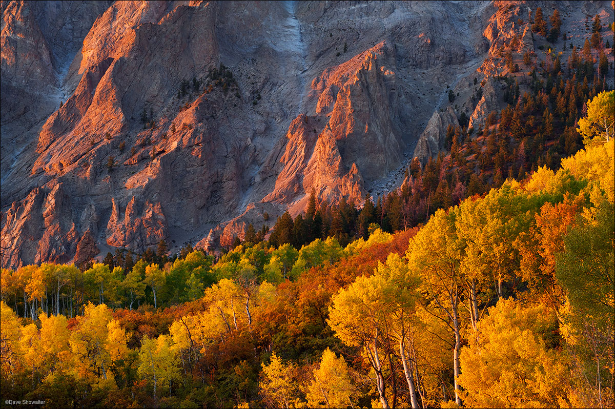 Marcellina Mountain (11,348') and the surrounding aspen forest seems to glow in warm evening alpenglow of an October sunset.