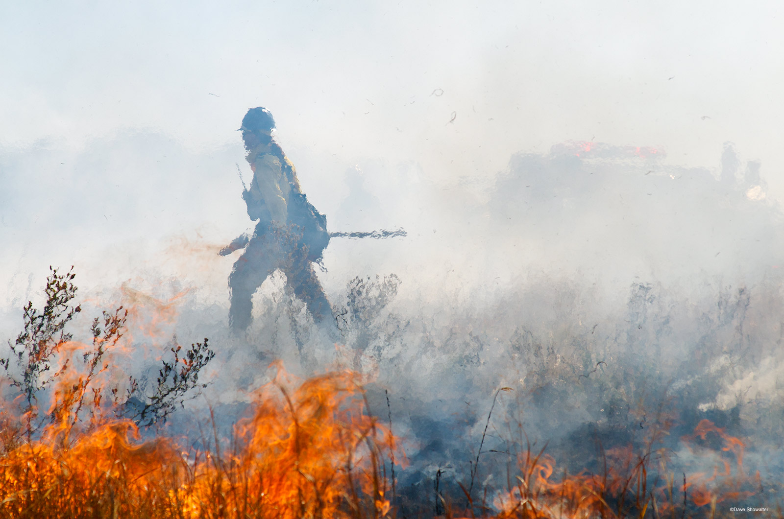 Controlled burns are an important habitat management tool on the shortgrass prairie. On an autumn day, with invasive crested...