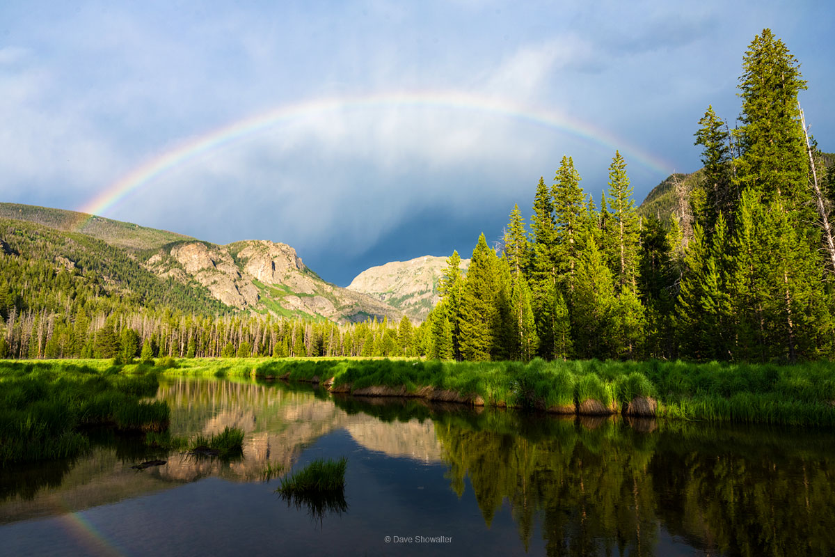 While photographing American Dippers, our only aquatic songbird, a lovely moment of beauty and stillness as a rainbow formed...