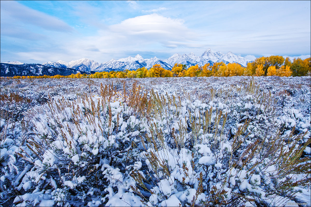 Fresh snow on Antelope Flats and the Teton Range signal that golden autumn days are nearing an end for this season. Antelope...