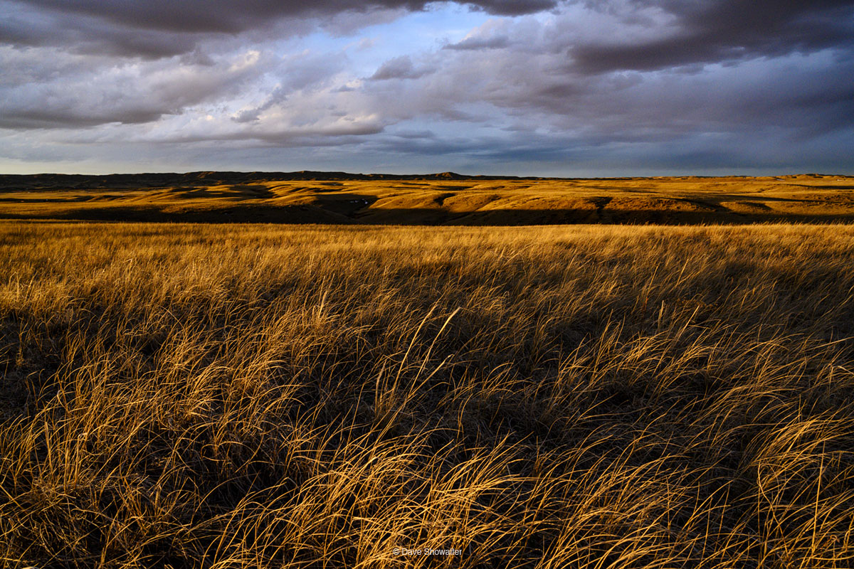 Soapstone Prairie Natural Area&nbsp;is a shortgrass prairie gem owned and operated by the City of Fort Collins. Good native prairie...