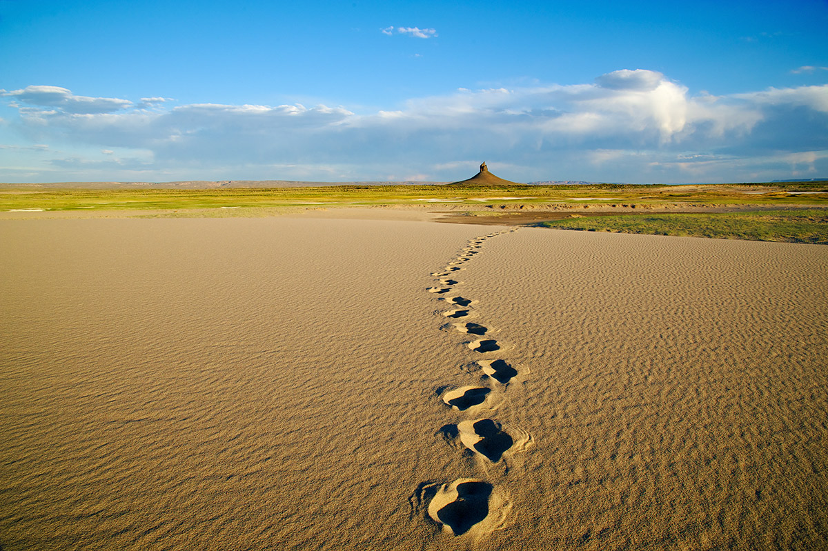 Tracks in the Killpecker Sand Dunes Area Of Critical Environmental Concern lead from the Boar's Tusk, an iconic volcanic monolith...