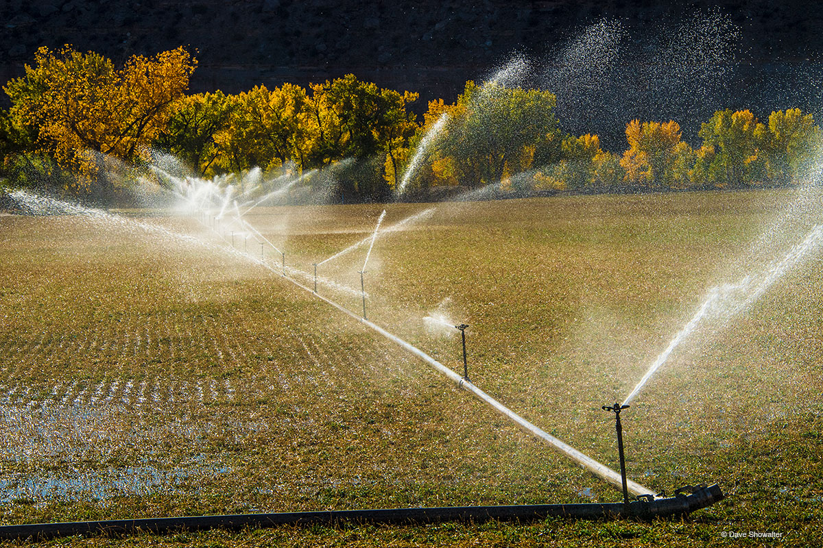 Agriculture is the top water user in the west - irrigating hay along the banks of the Colorado at Westwater, on the border with...